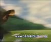 potterish_60minutos_TV_01752.jpg