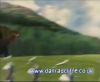 potterish_60minutos_TV_01754.jpg