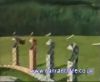 potterish_60minutos_TV_01767.jpg