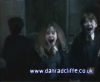 potterish_60minutos_TV_017_0.jpg