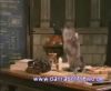 potterish_60minutos_TV_0182_~0.jpg