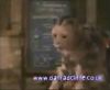 potterish_60minutos_TV_01840.jpg
