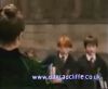 potterish_60minutos_TV_01877.jpg