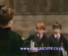 potterish_60minutos_TV_01885.jpg