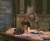 potterish_60minutos_TV_018_0.jpg