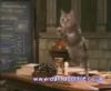 potterish_60minutos_TV_018_2.jpg