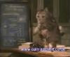 potterish_60minutos_TV_018_5.jpg
