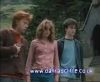 potterish_60minutos_TV_02122.jpg