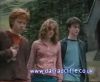 potterish_60minutos_TV_02165.jpg