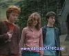 potterish_60minutos_TV_02168.jpg