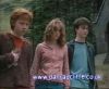 potterish_60minutos_TV_02175.jpg