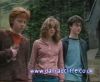 potterish_60minutos_TV_0217_~0.jpg