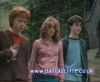 potterish_60minutos_TV_02181.jpg