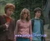 potterish_60minutos_TV_02184.jpg