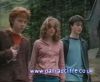 potterish_60minutos_TV_02187.jpg