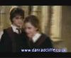 potterish_60minutos_TV_02265.jpg