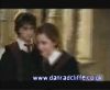 potterish_60minutos_TV_02267.jpg