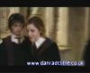 potterish_60minutos_TV_02270.jpg
