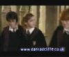 potterish_60minutos_TV_02280.jpg
