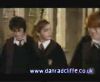 potterish_60minutos_TV_02282.jpg