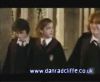 potterish_60minutos_TV_02288.jpg