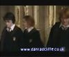 potterish_60minutos_TV_02410.jpg