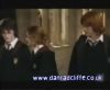 potterish_60minutos_TV_0242_~0.jpg