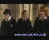 potterish_60minutos_TV_02__5.jpg