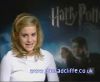 potterish_60minutos_TV_02541.jpg