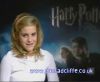 potterish_60minutos_TV_02542.jpg