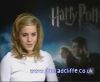 potterish_60minutos_TV_02562.jpg