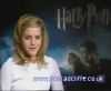 potterish_60minutos_TV_02588.jpg