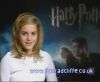 potterish_60minutos_TV_02601.jpg