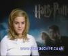 potterish_60minutos_TV_02604.jpg