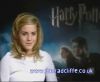 potterish_60minutos_TV_02605.jpg