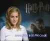 potterish_60minutos_TV_02607.jpg