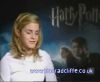 potterish_60minutos_TV_02805.jpg