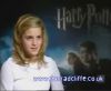 potterish_60minutos_TV_02840.jpg