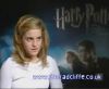 potterish_60minutos_TV_02_08.jpg