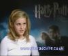 potterish_60minutos_TV_02_1_.jpg