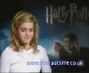 potterish_60minutos_TV_02_8_~0.jpg