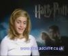 potterish_60minutos_TV_03039.jpg