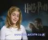 potterish_60minutos_TV_03040.jpg