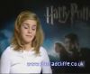 potterish_60minutos_TV_03048.jpg
