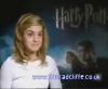 potterish_60minutos_TV_03065.jpg