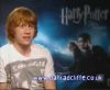 potterish_60minutos_TV_03476.jpg