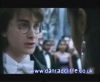 potterish_60minutos_TV_03843.jpg