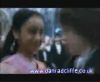 potterish_60minutos_TV_04031.jpg