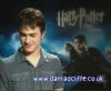 potterish_60minutos_TV_04323.jpg