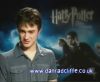 potterish_60minutos_TV_04372.jpg